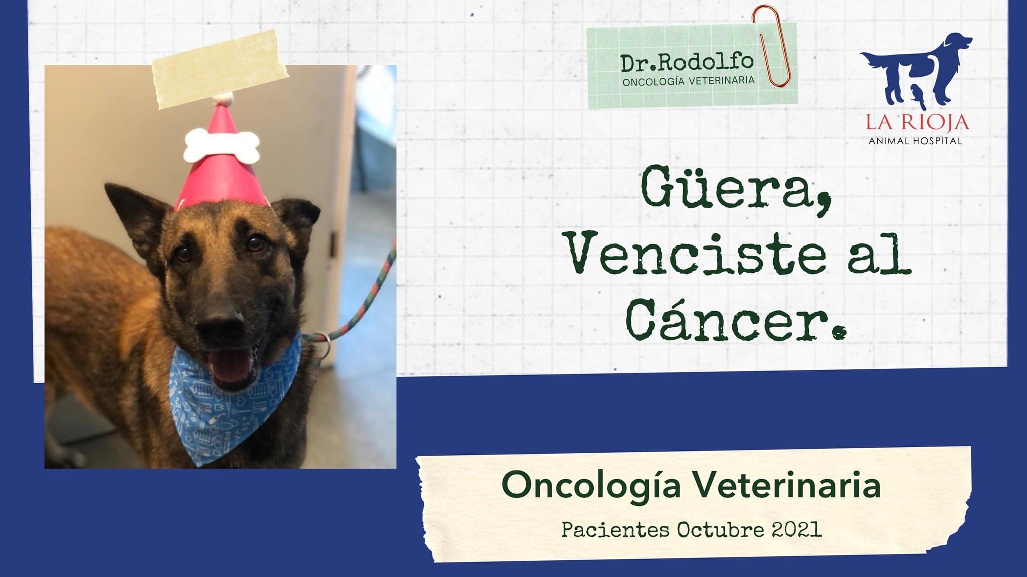 oncología veterinaria